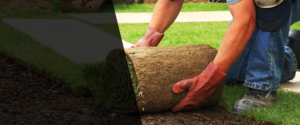 Rexburg Landscapers